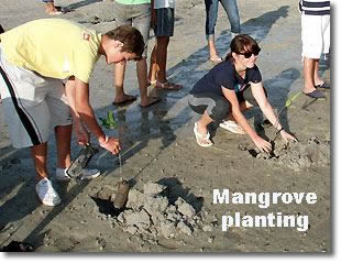 school programs mangrove planting