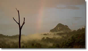 Summer showers makes for beautiful rainbows.